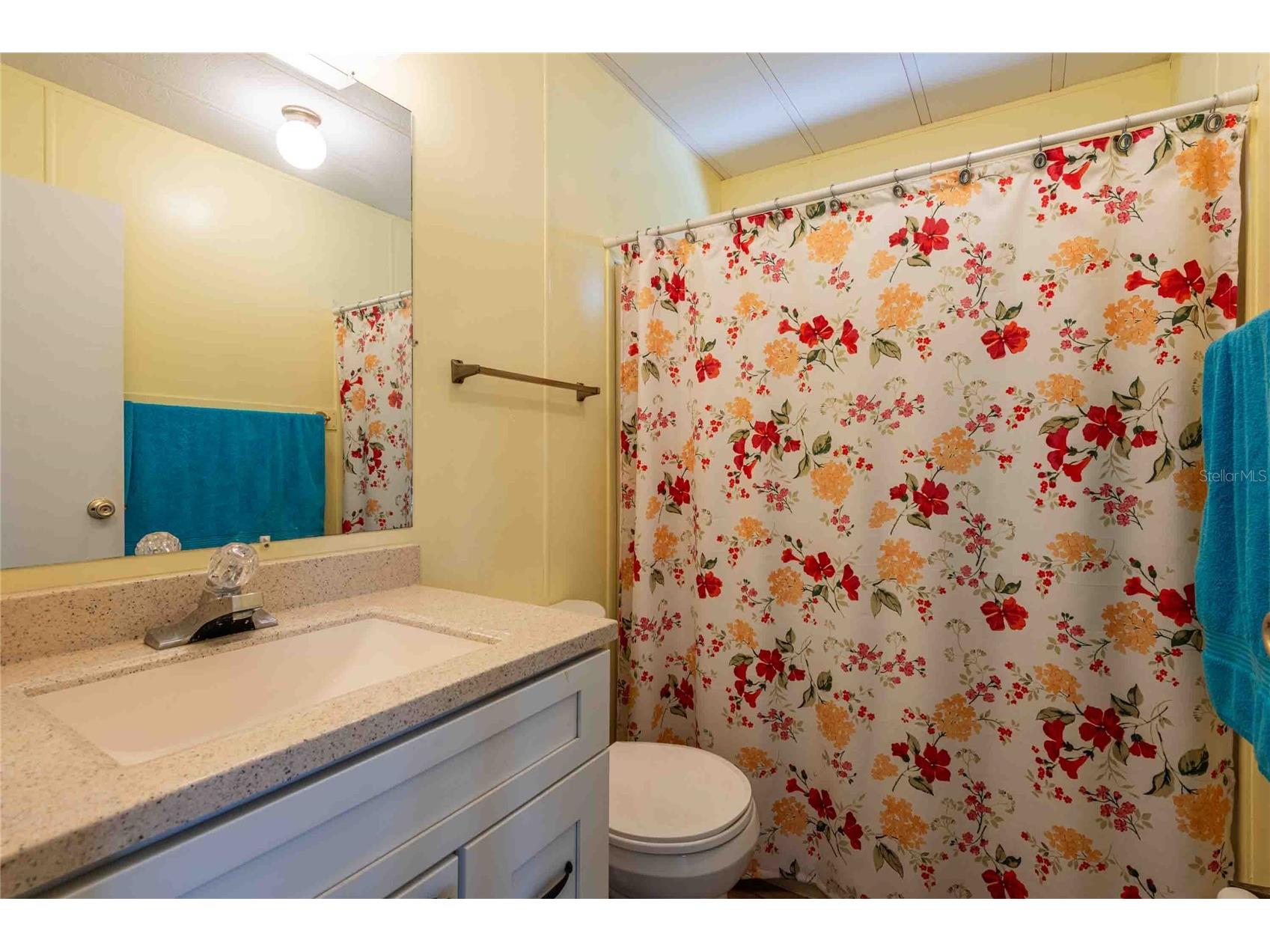 4903 Dorado Street Zephyrhills FL 33541 TB8508967 image11