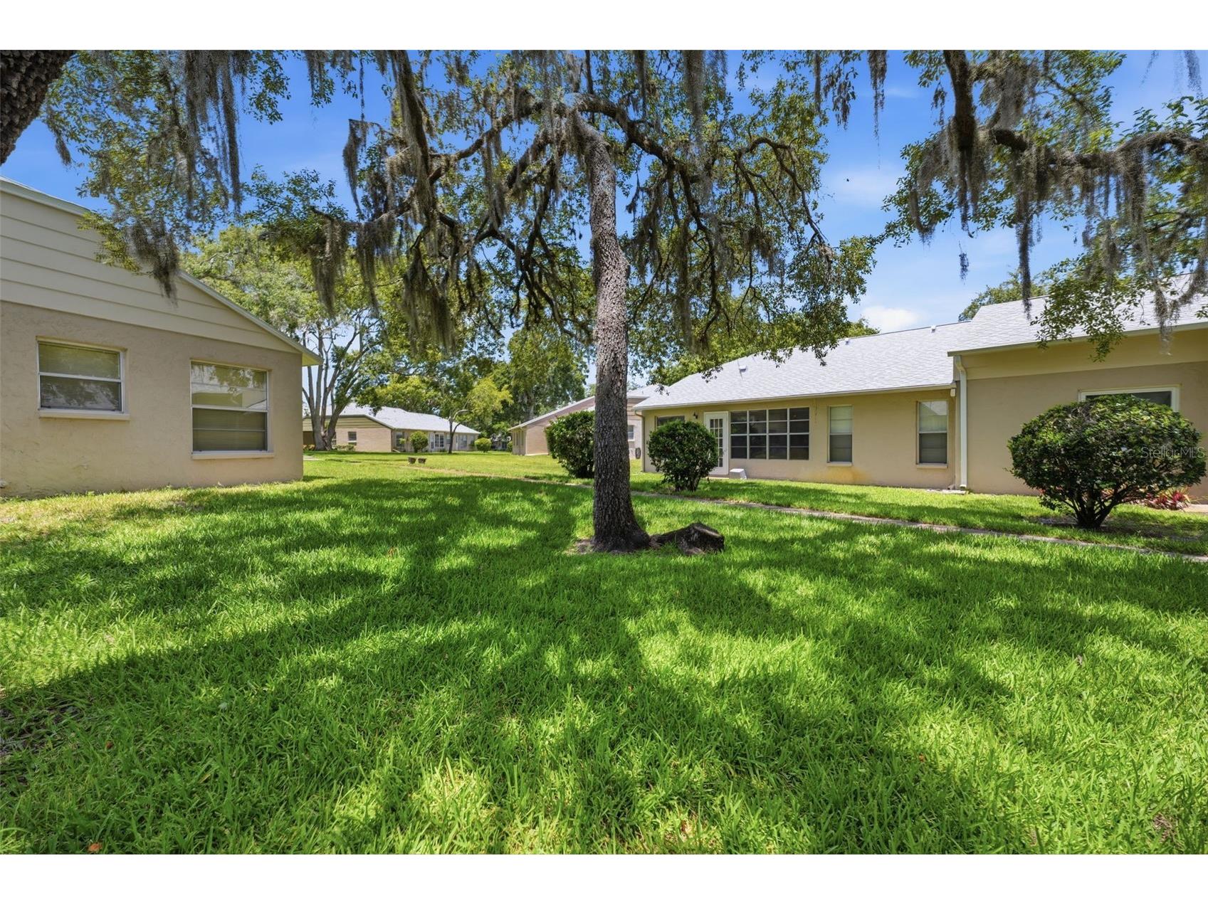 4903 Leyte Court #67 New Port Richey FL 34655 W7886892 image12