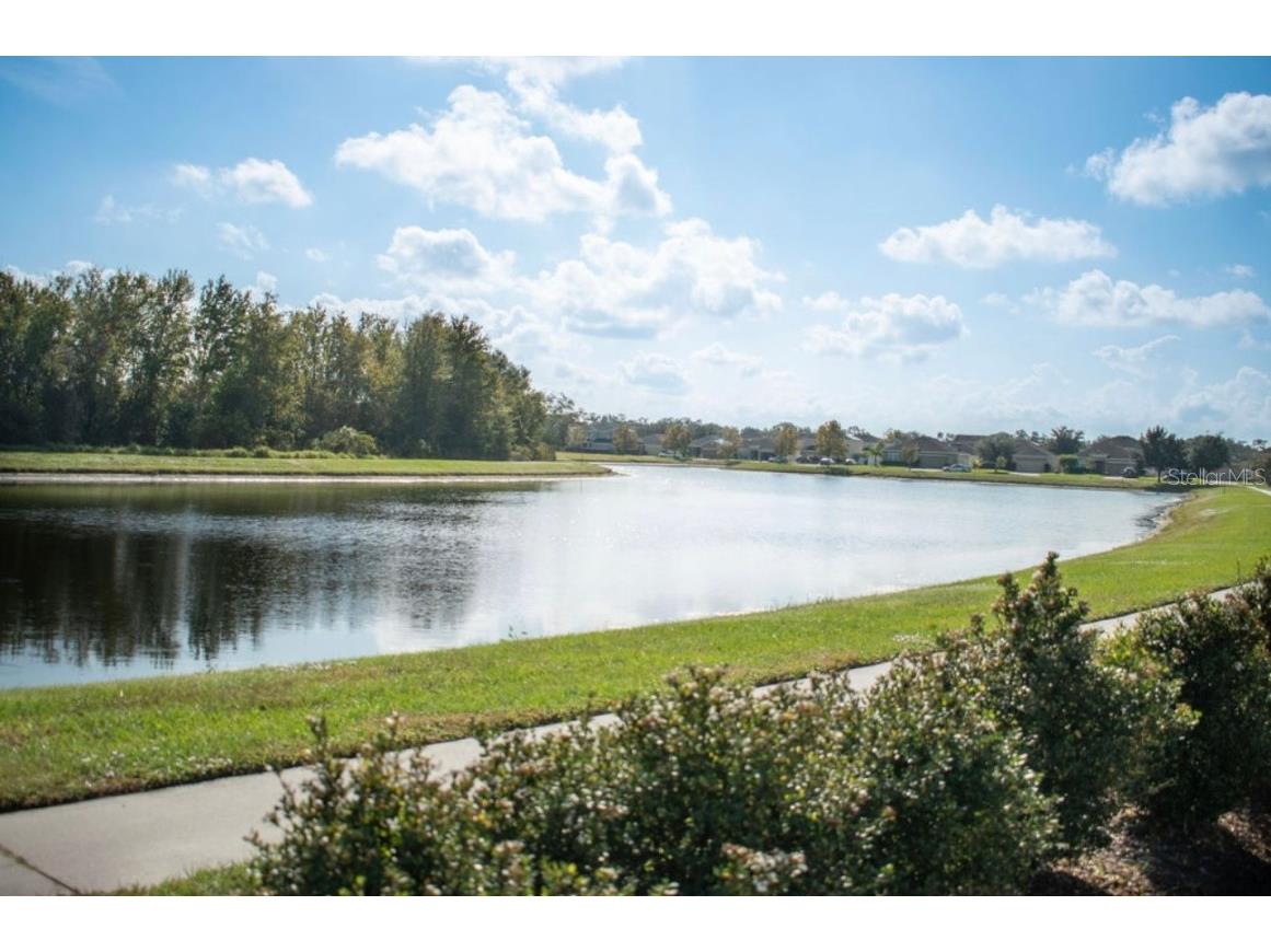 4903 Rockvale Drive Kissimmee FL 34758 S5139381 image26