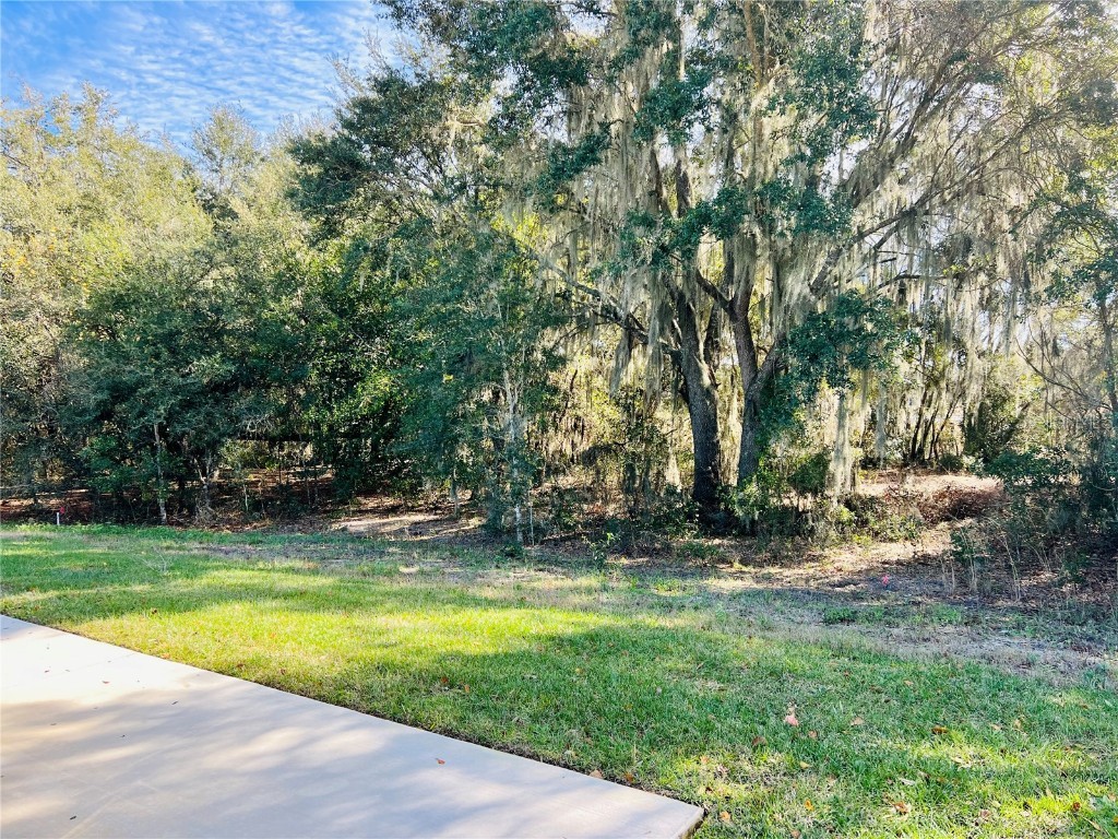 4903 SE 92nd Blvd Terrace Webster FL 33597 G5076976 image5