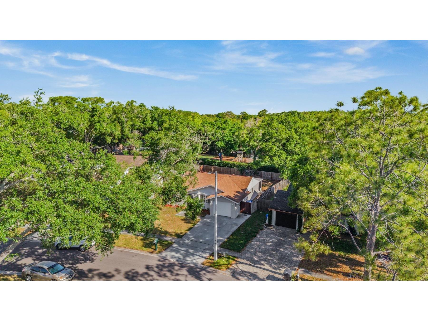 4903 Traskwood Court Tampa FL 33624 TB8482247 image28