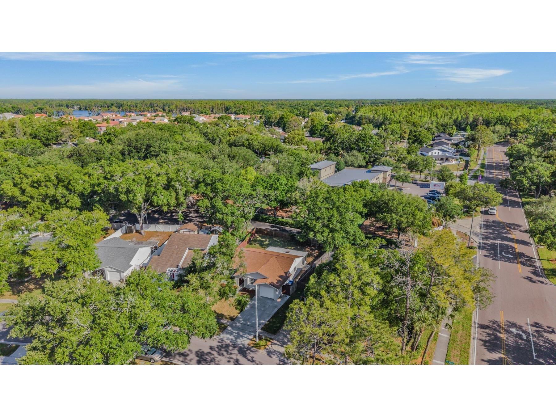 4903 Traskwood Court Tampa FL 33624 TB8482247 image29