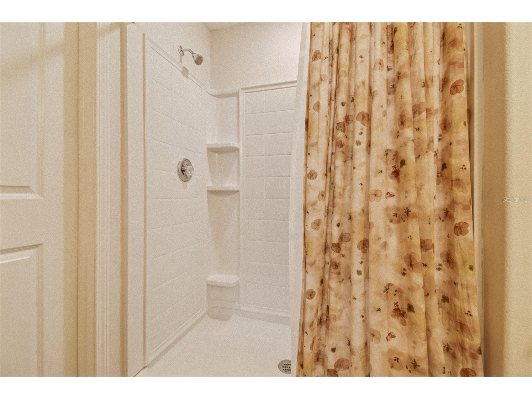 4904 Babbling Brook Lane Wimauma FL 33598 TB8473495 image17