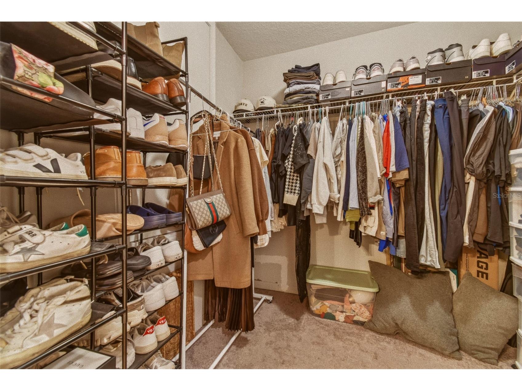 4904 Babbling Brook Lane Wimauma FL 33598 TB8473495 image18