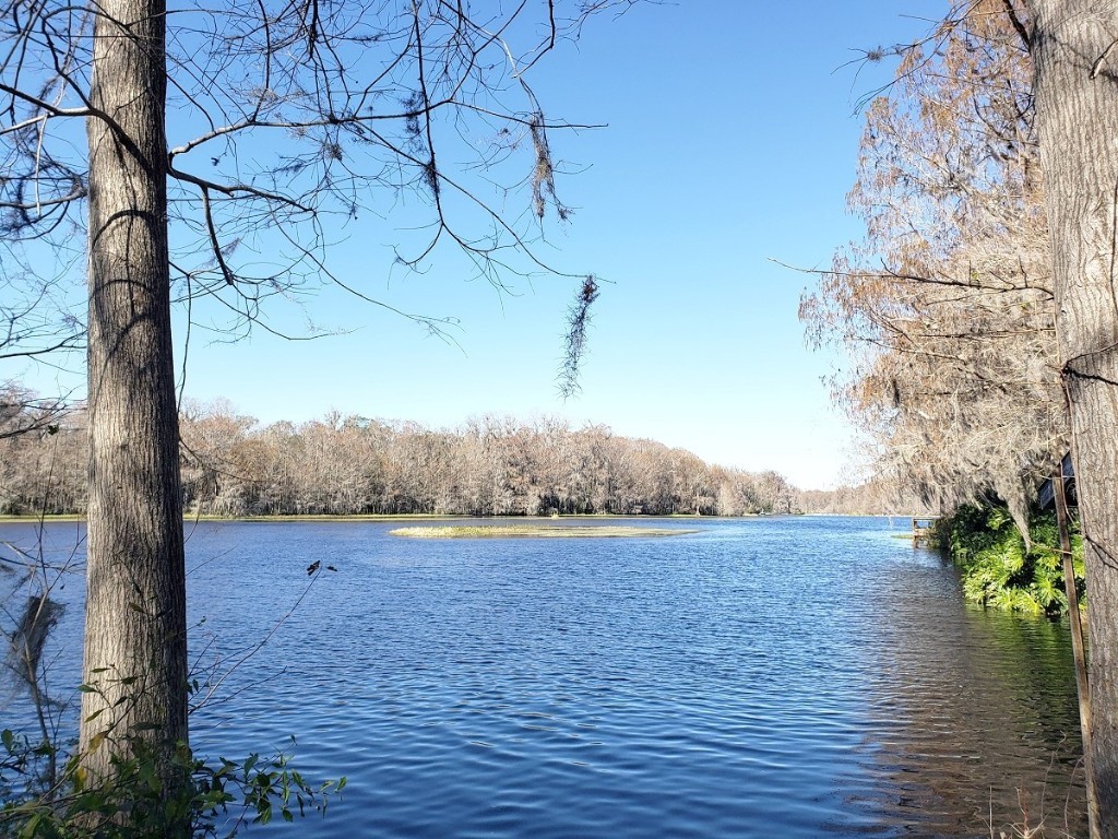 4904 County Road 307 Lake Panasoffkee FL 33538 - WITHLACOOCHEE RIVER GC510623 image1