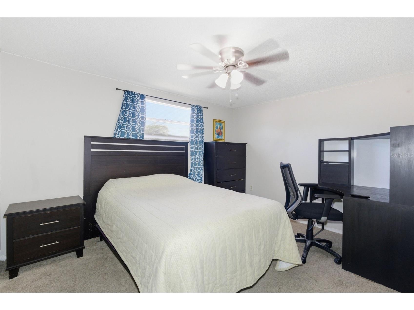 4904 Elmwood Street New Port Richey FL 34653 TB8468211 image35