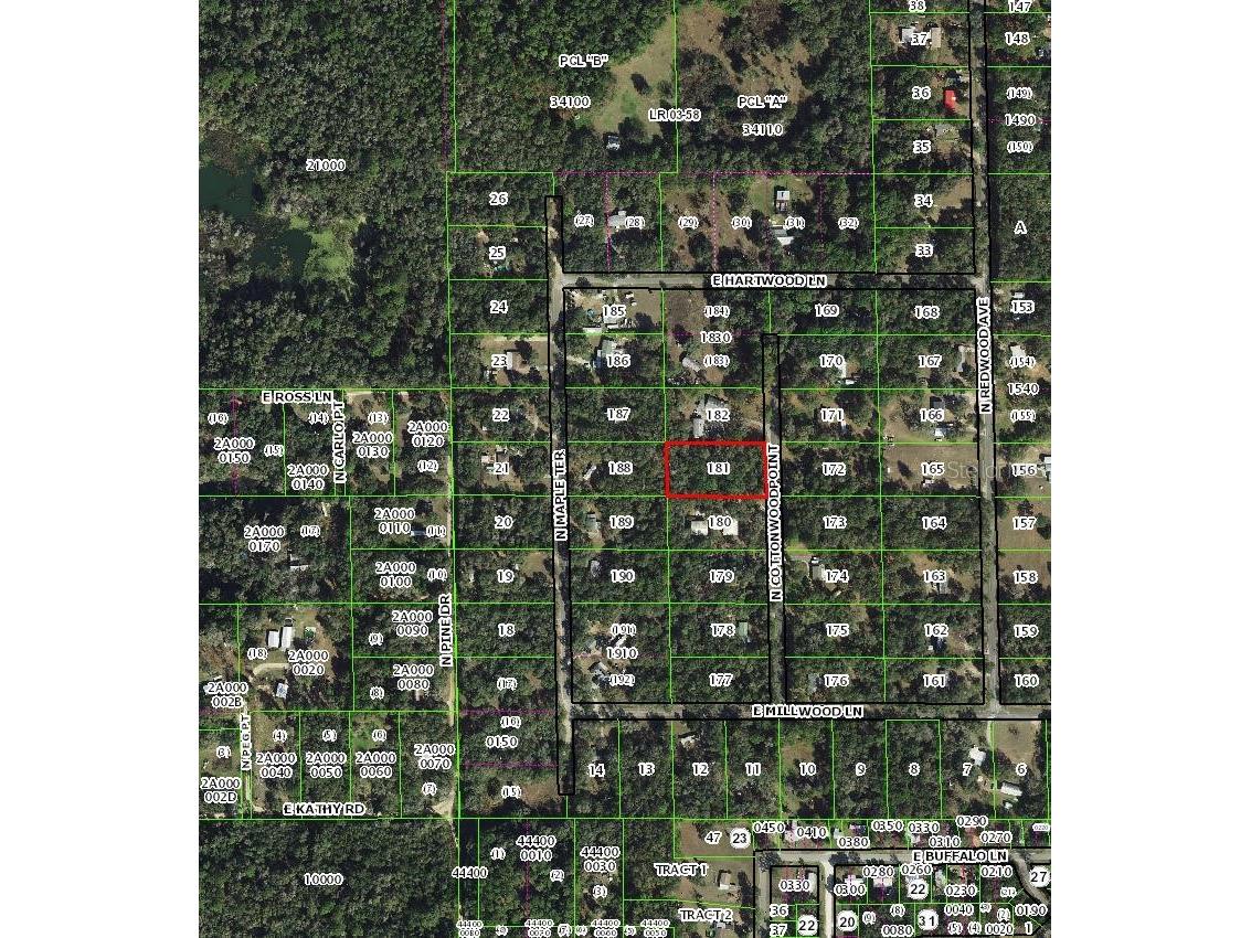 4904 N Cottonwood Point Hernando FL 34442 TB8501307 image3