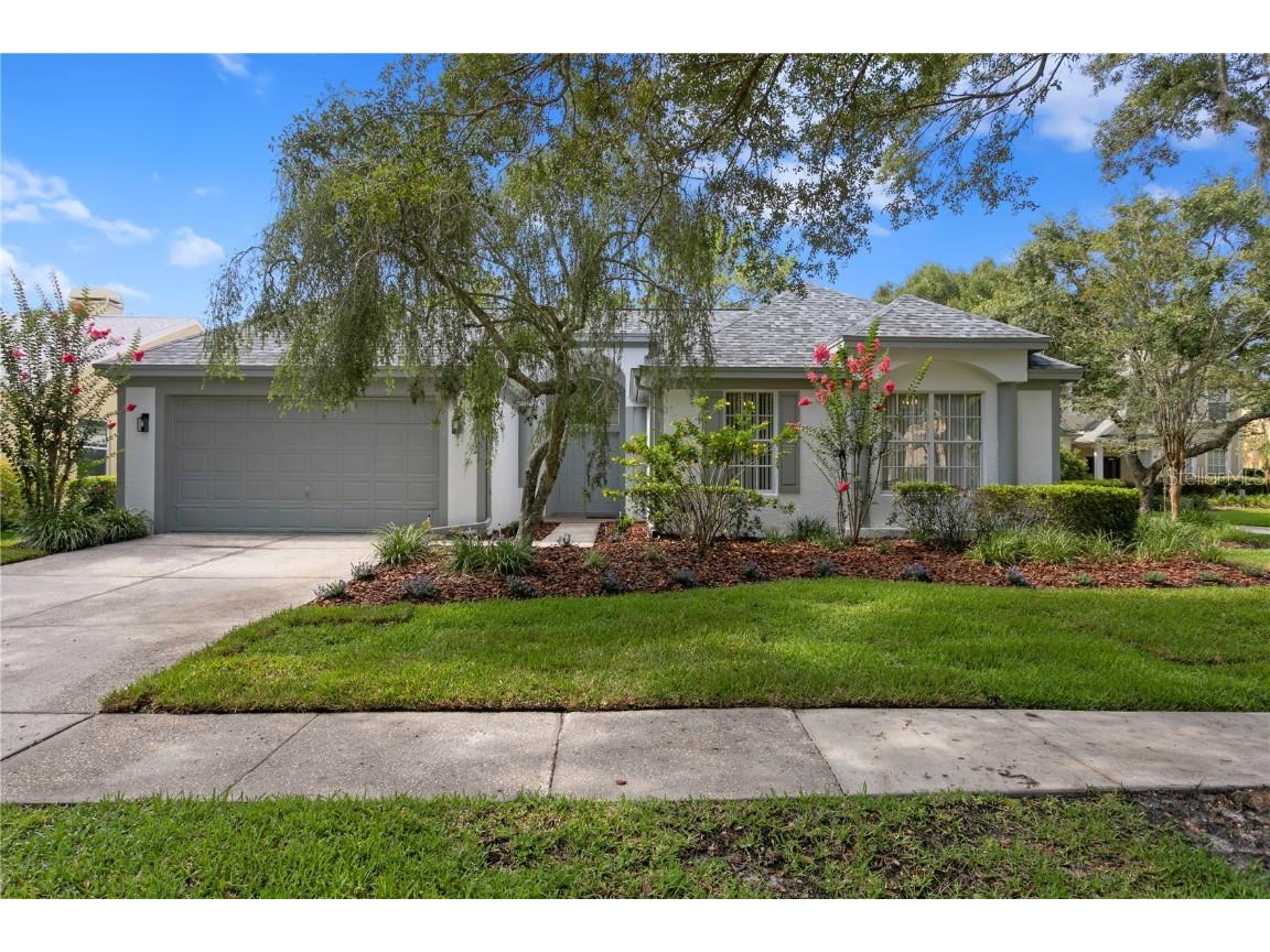 4905 Ebensburg Drive Tampa FL 33647 T3449461 image1