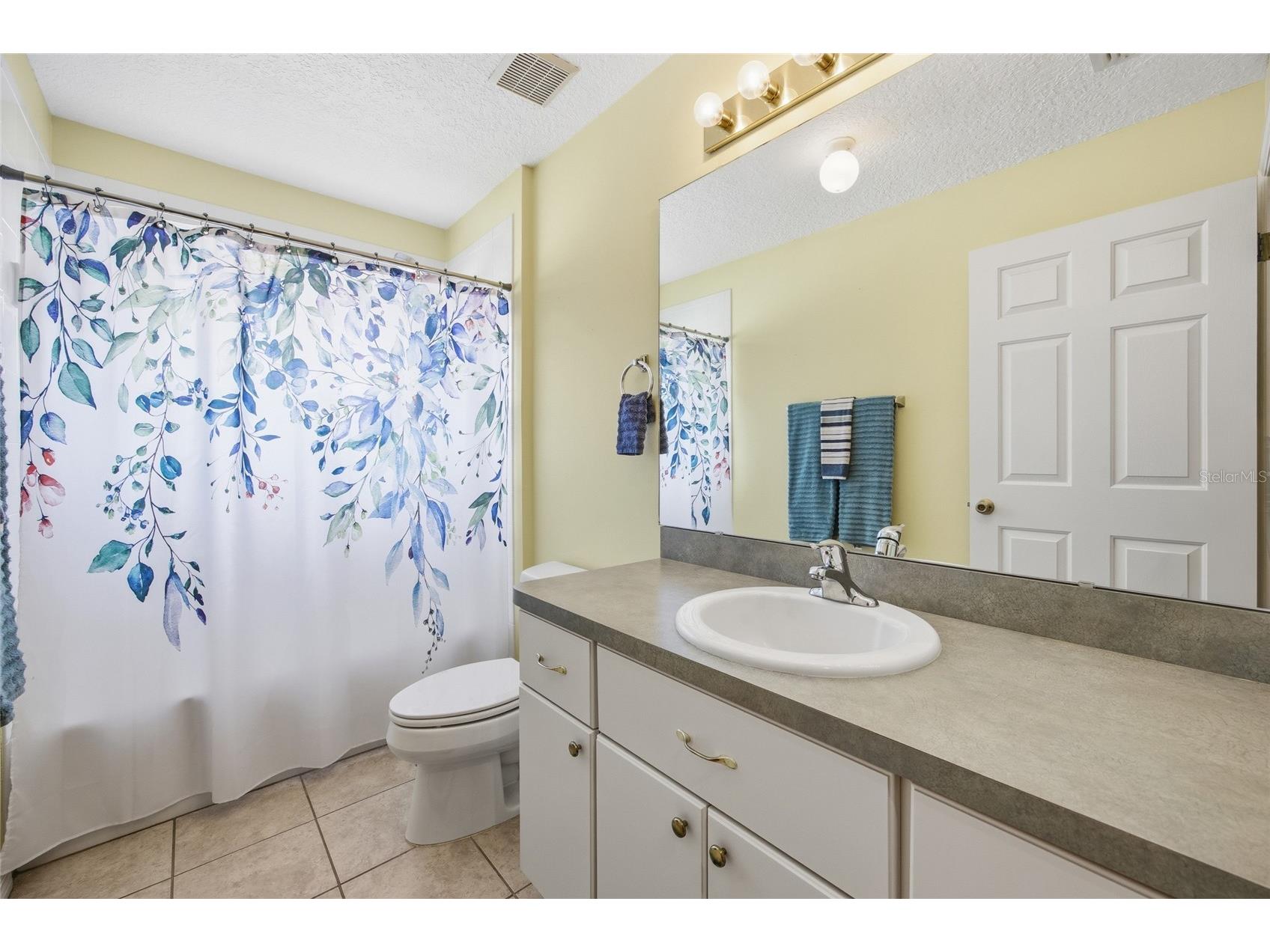 4905 Kelso Street Leesburg FL 34748 TB8513986 image14