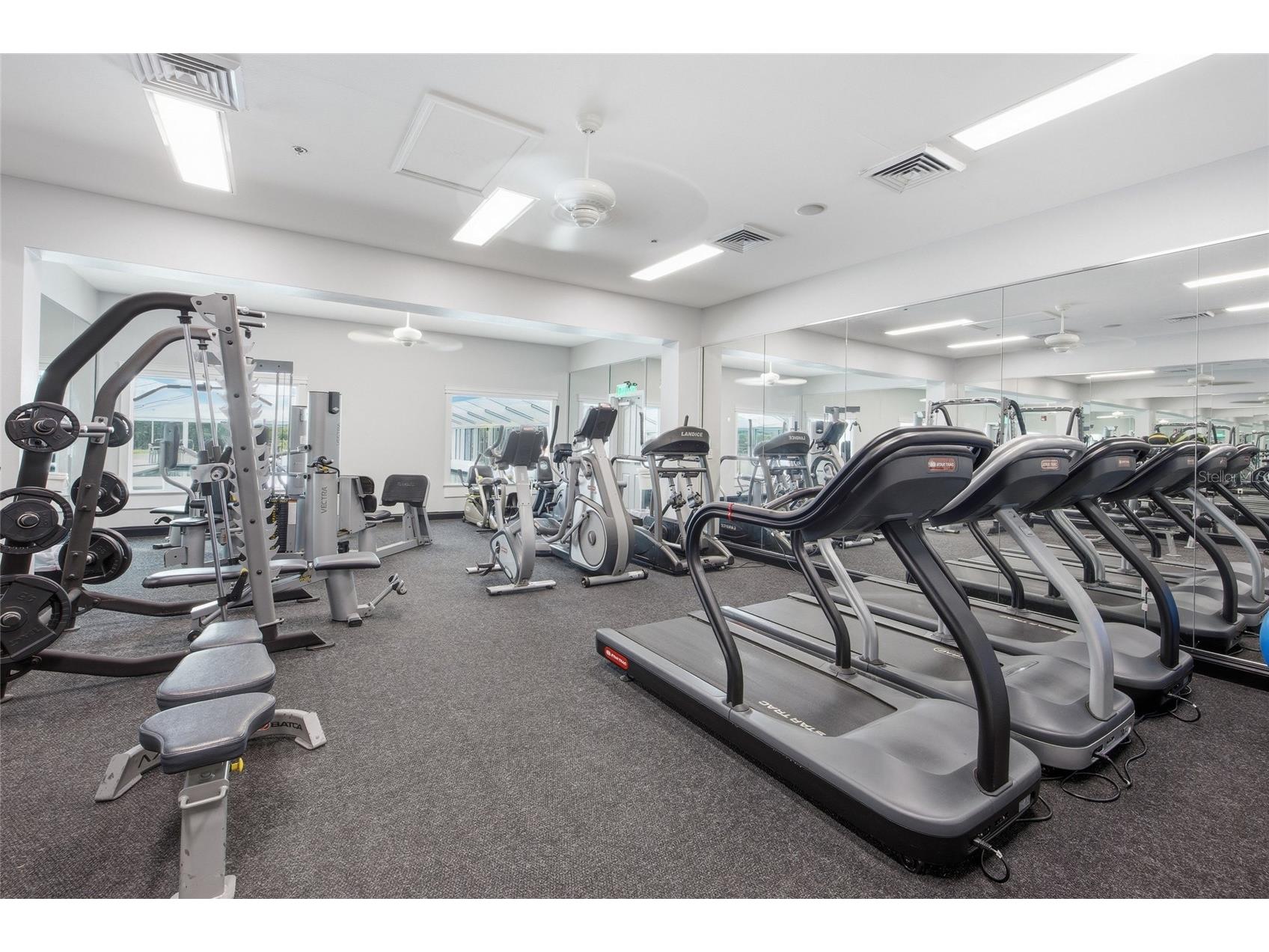 4905 Kelso Street Leesburg FL 34748 TB8513986 image36