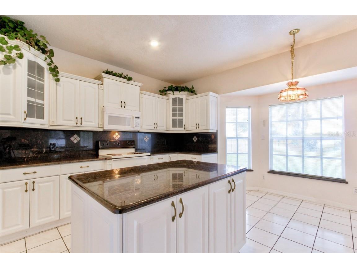 4905 Lake Cecile Drive Kissimmee FL 34746 S5129617 image7