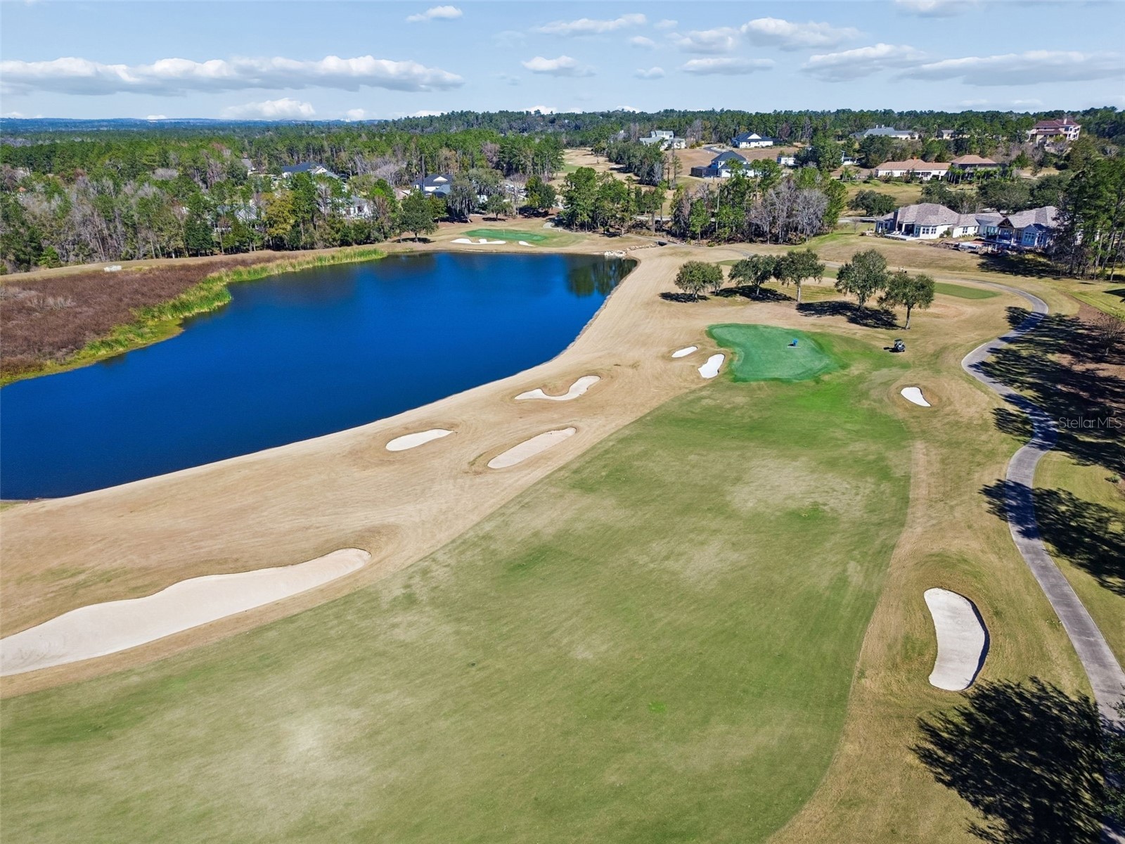 4905 Majestic Hills Loop Brooksville FL 34601 TB8470635 image63