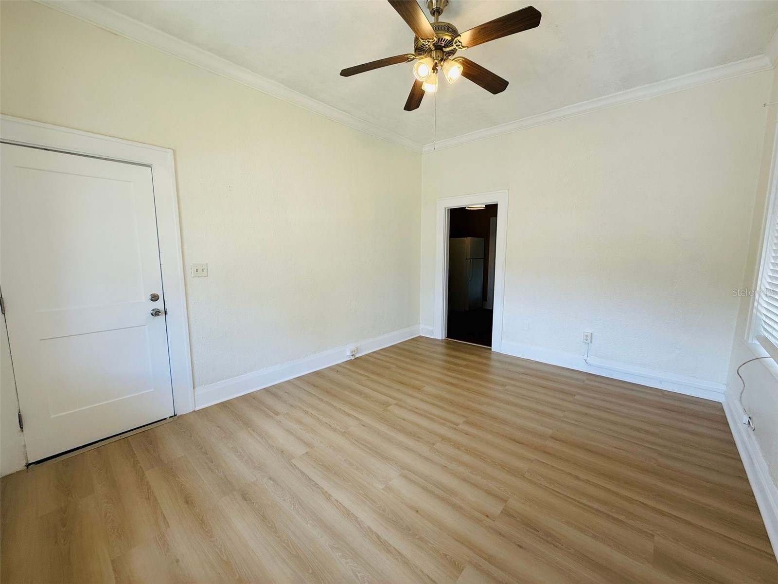 4905 N Central Avenue #1 Tampa FL 33603 TB8514593 image6