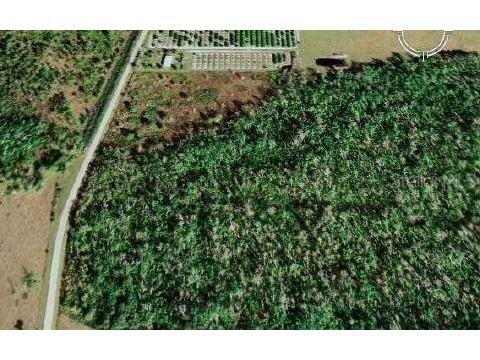 4905 Parnell Road Zolfo Springs FL 33890 J938522 image1