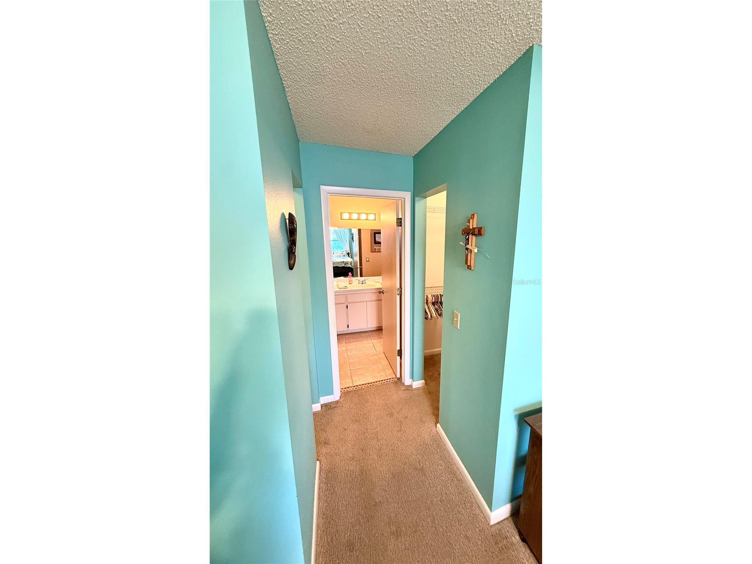 4905 Pleasant Hollow Trail Lakeland FL 33811 O6378910 image10