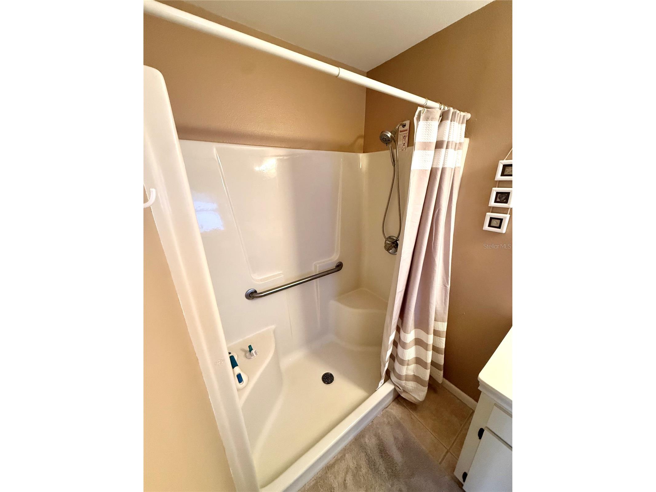 4905 Pleasant Hollow Trail Lakeland FL 33811 O6378910 image14