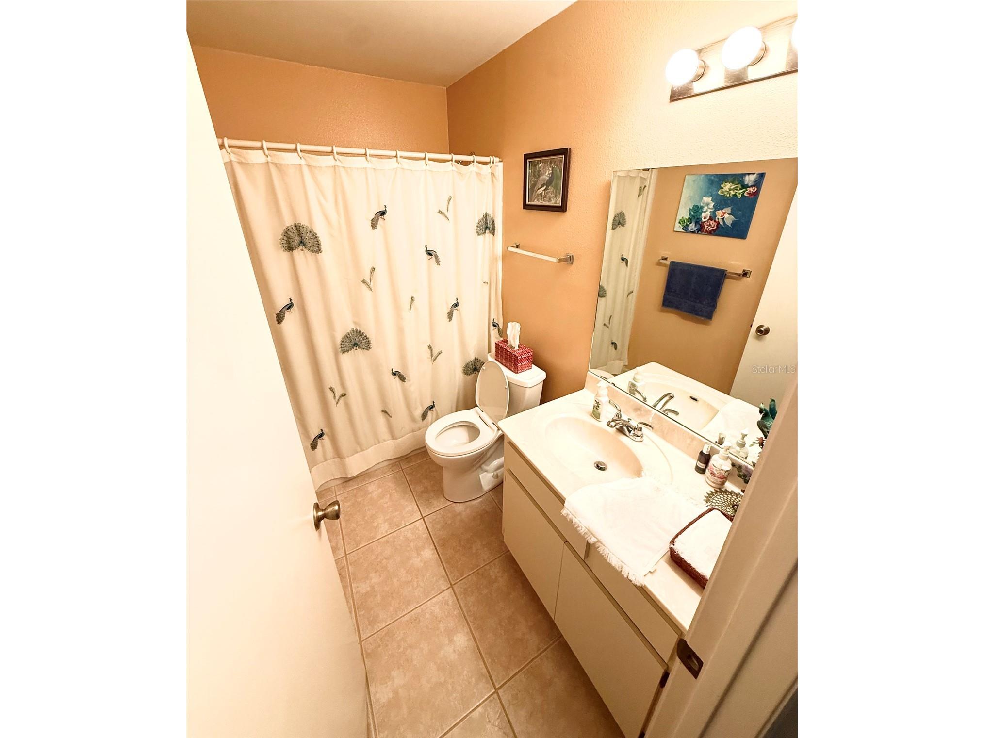 4905 Pleasant Hollow Trail Lakeland FL 33811 O6378910 image16