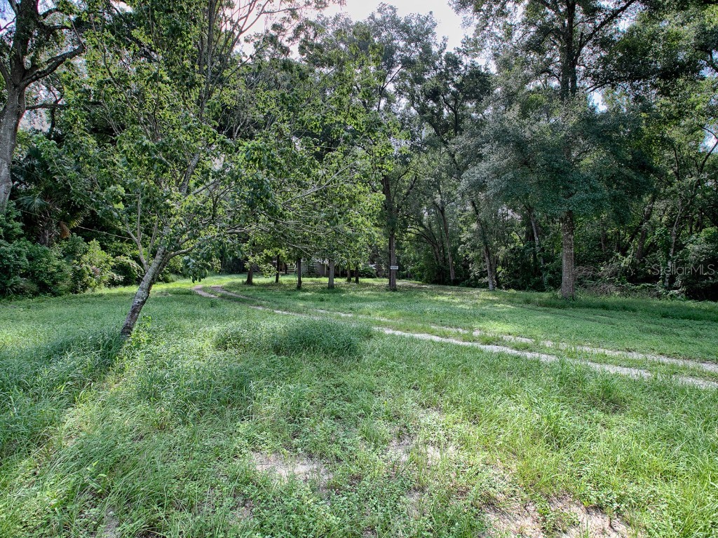 4905 Plymouth Sorrento Road Apopka FL 32712 G5085768 image13