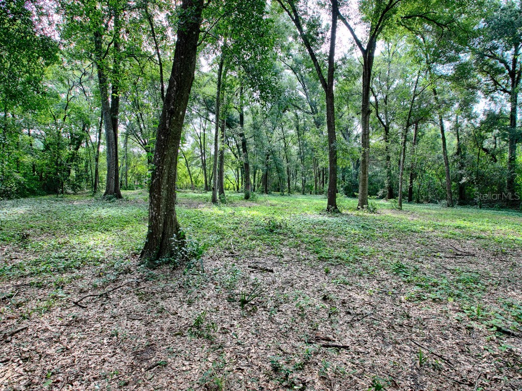 4905 Plymouth Sorrento Road Apopka FL 32712 G5085768 image14