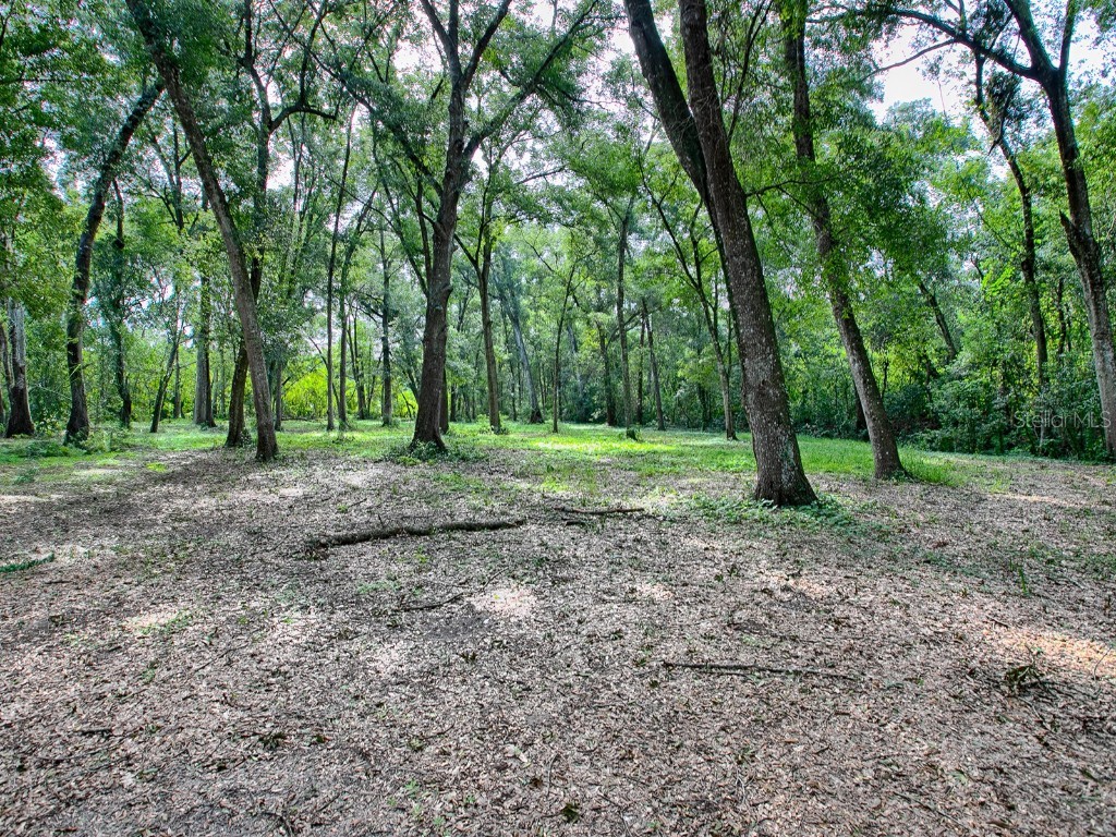 4905 Plymouth Sorrento Road Apopka FL 32712 G5085768 image15