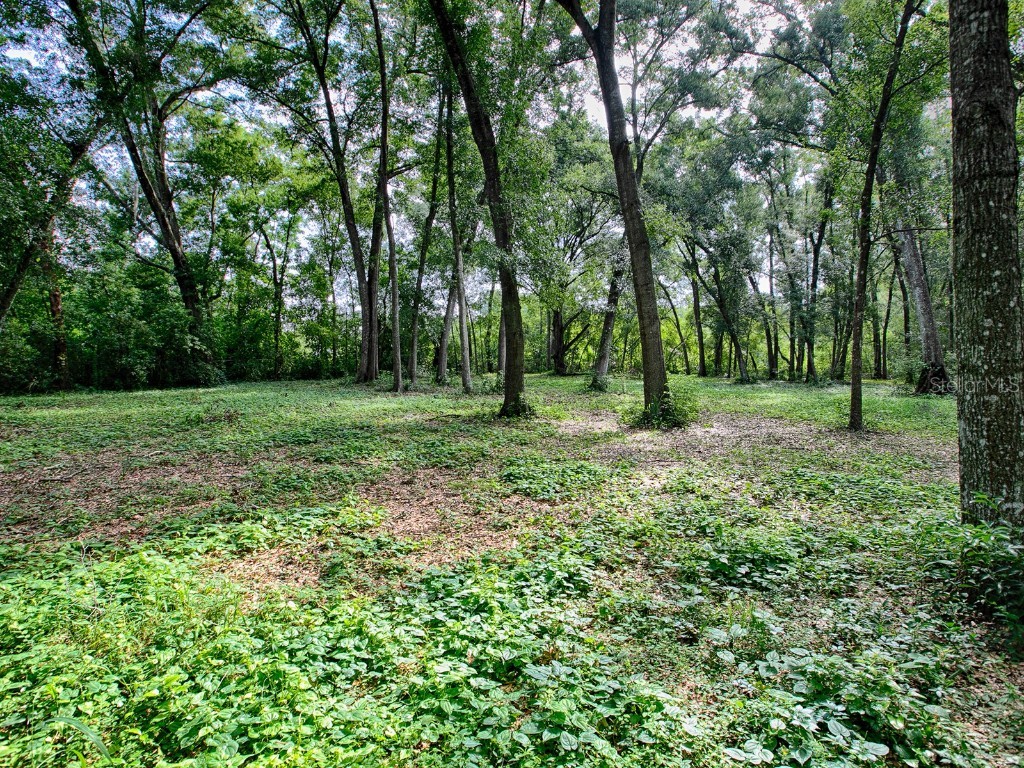 4905 Plymouth Sorrento Road Apopka FL 32712 G5085768 image16