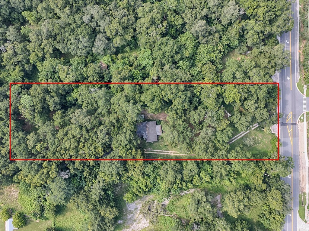 4905 Plymouth Sorrento Road Apopka FL 32712 G5085768 image9