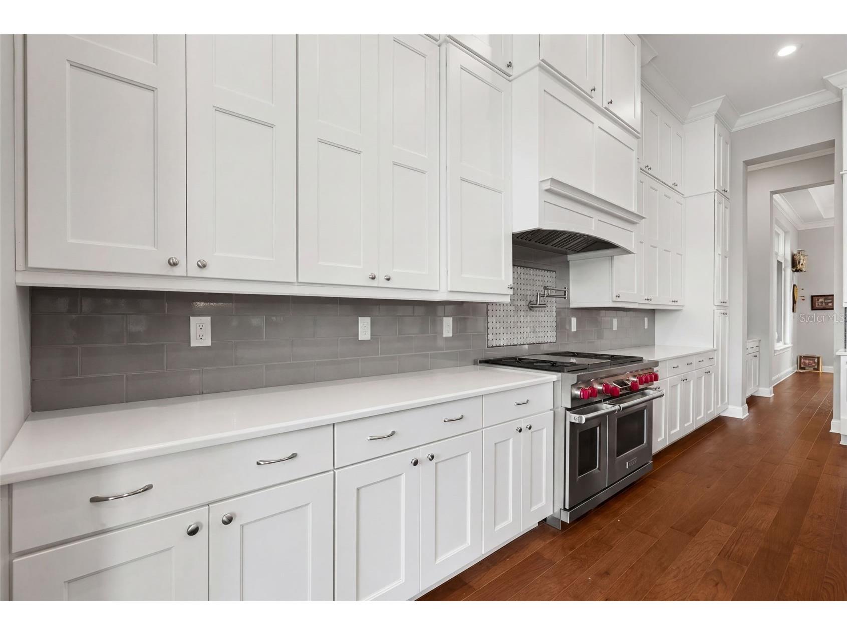 4905 W Spring Lake Drive Tampa FL 33629 TB8515550 image21