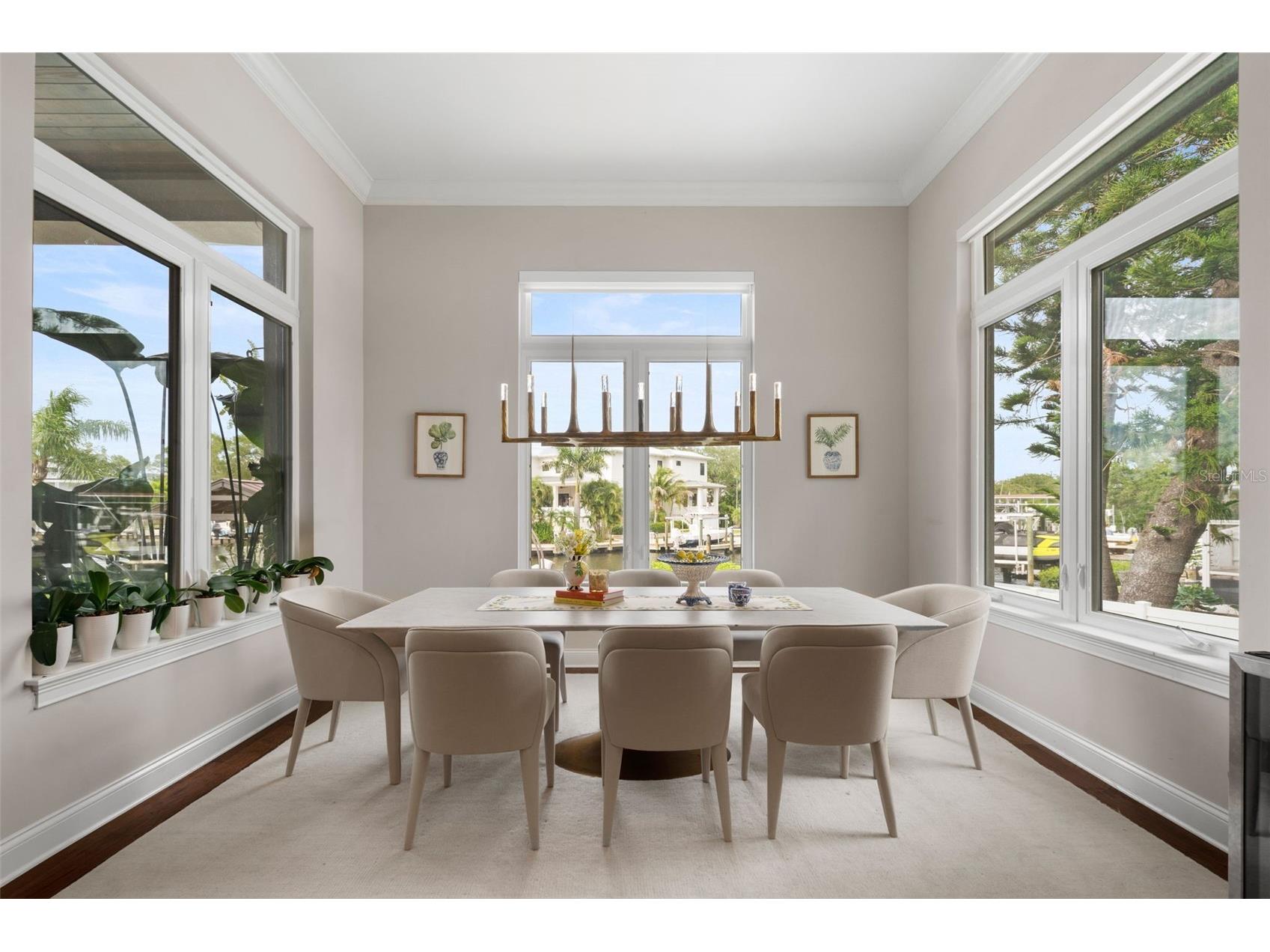 4905 W Spring Lake Drive Tampa FL 33629 TB8515550 image23