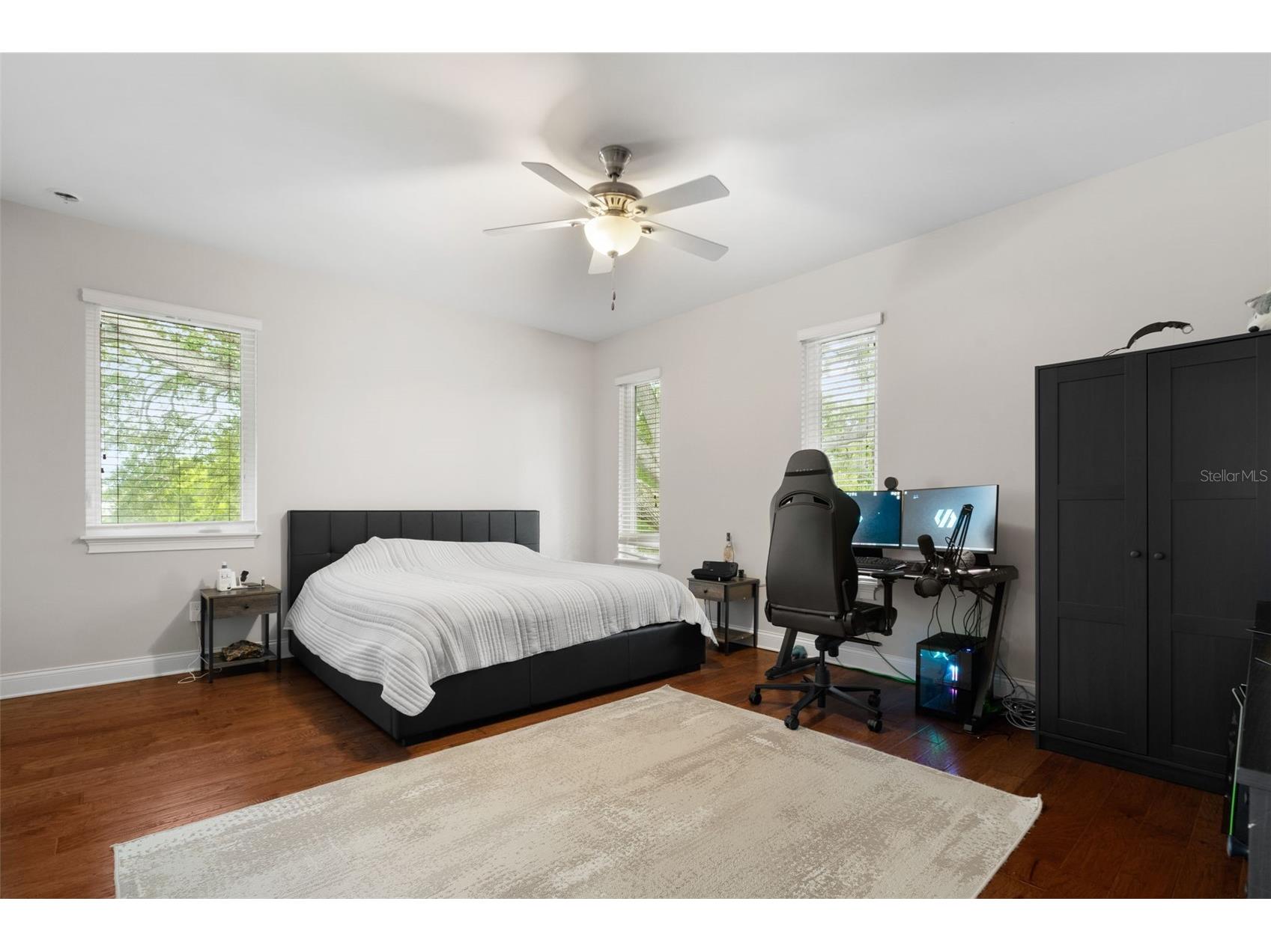 4905 W Spring Lake Drive Tampa FL 33629 TB8515550 image32