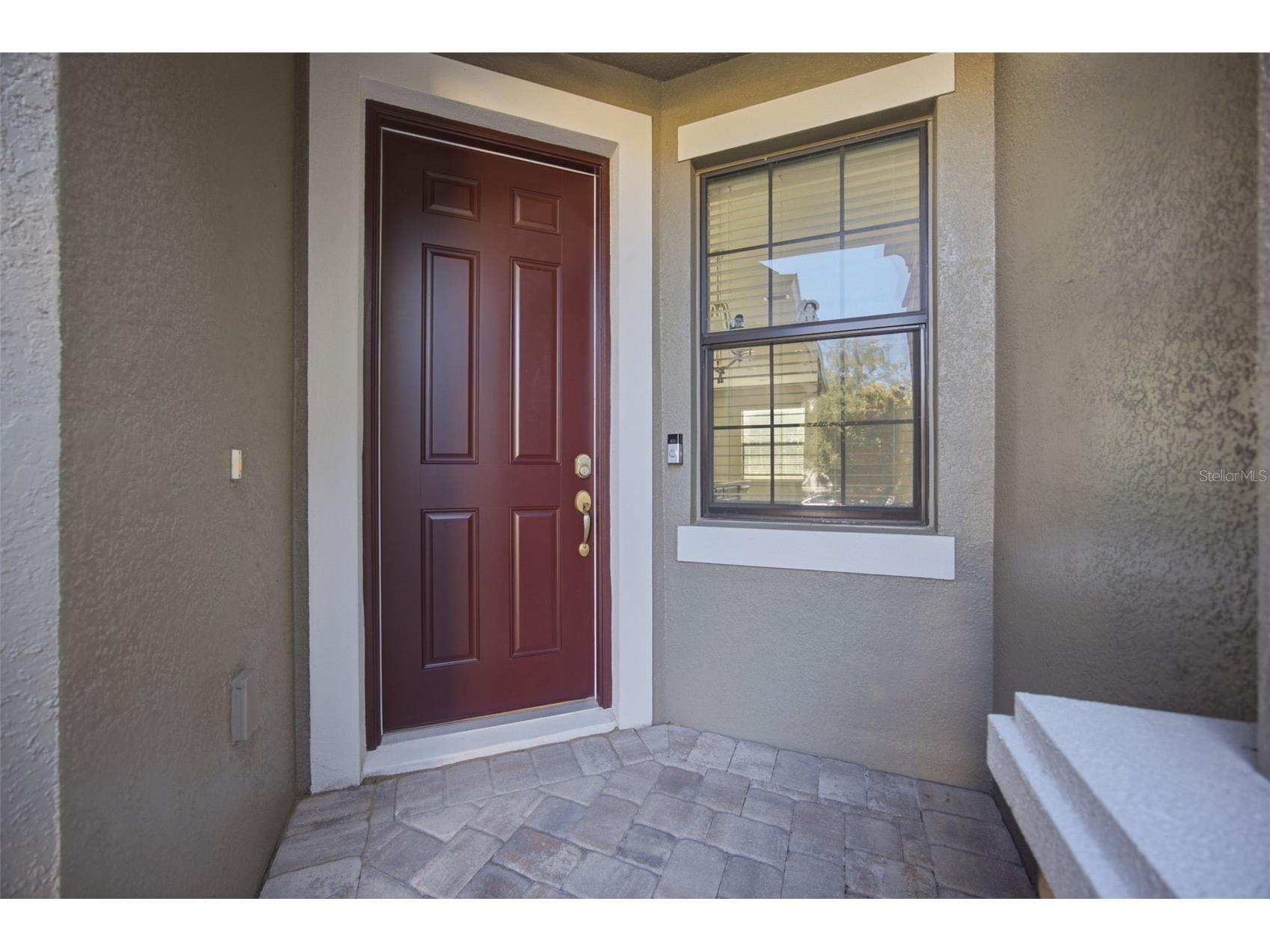 4905 Wandering Way Wesley Chapel FL 33544 TB8532371 image2