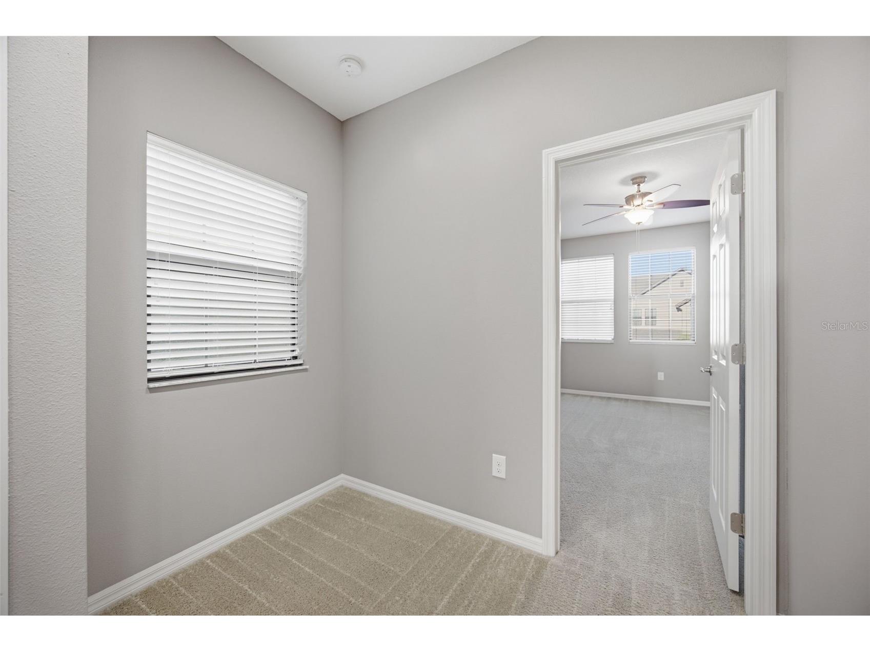 4905 Wandering Way Wesley Chapel FL 33544 TB8532371 image34