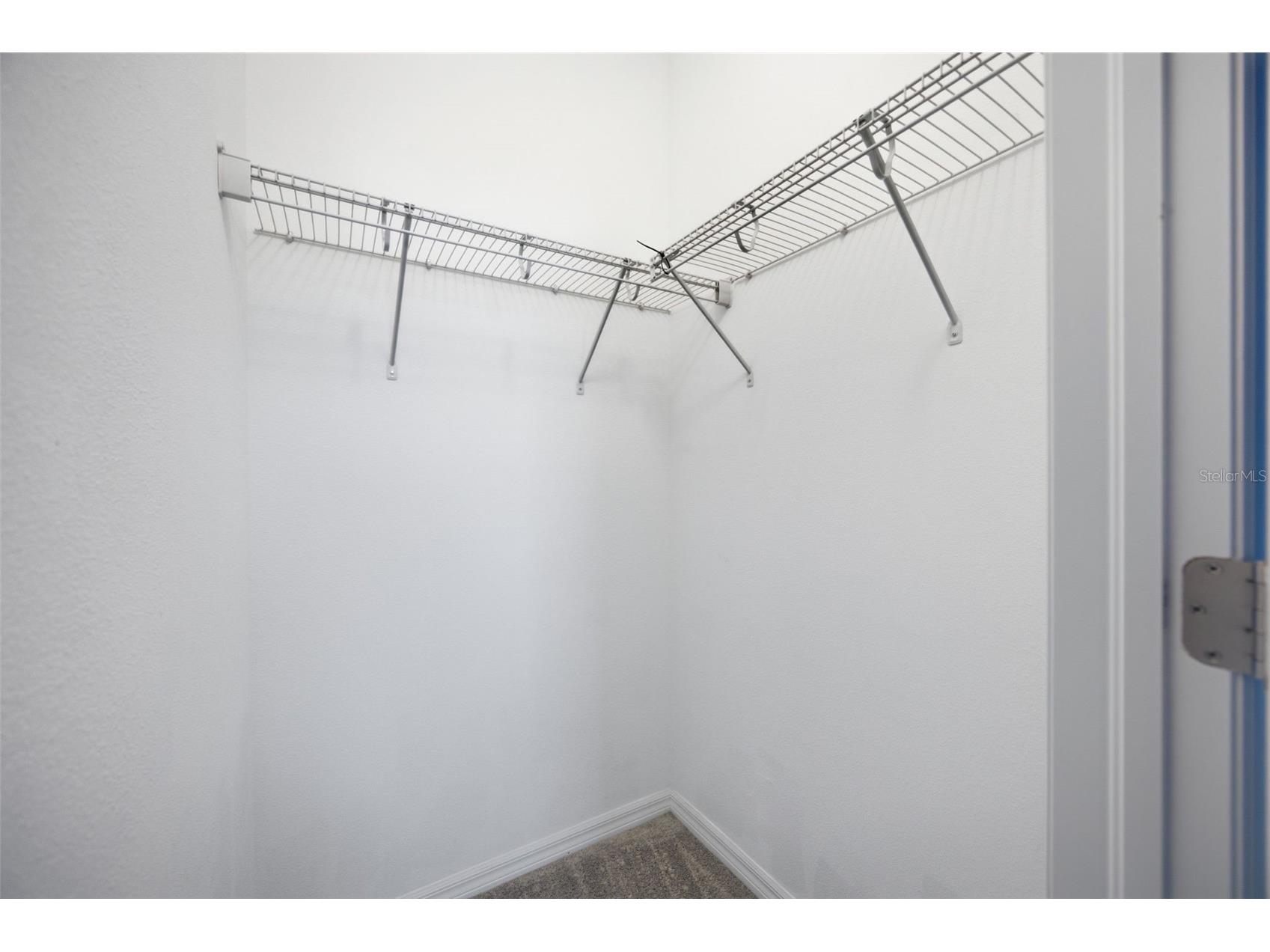 4905 Wandering Way Wesley Chapel FL 33544 TB8532371 image37