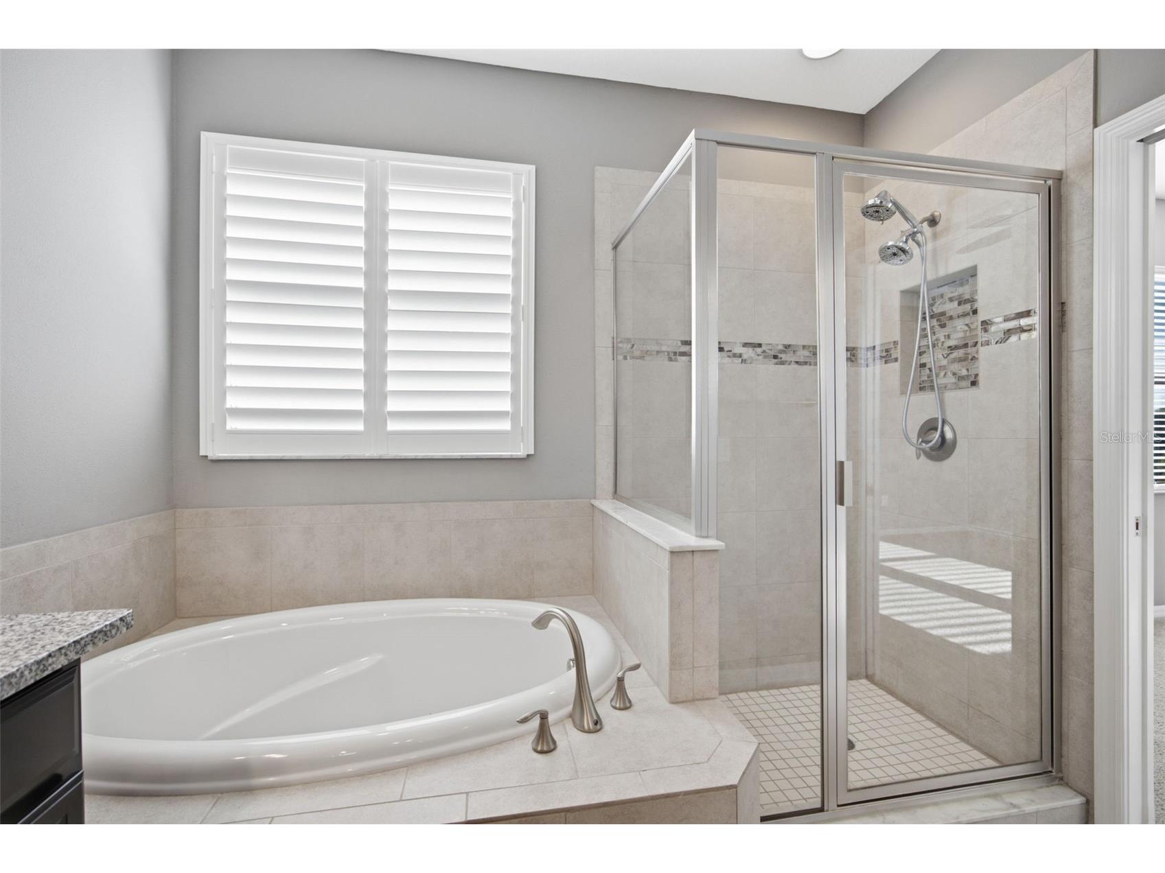 4905 Wandering Way Wesley Chapel FL 33544 TB8532371 image46