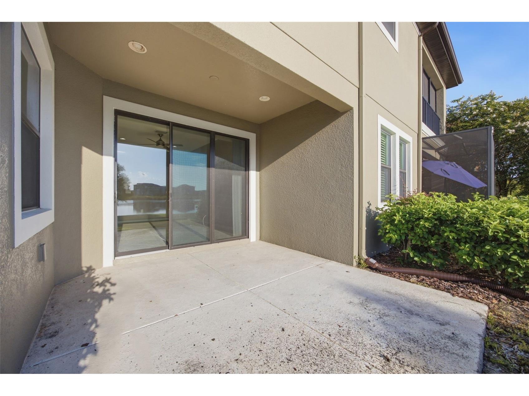 4905 Wandering Way Wesley Chapel FL 33544 TB8532371 image47