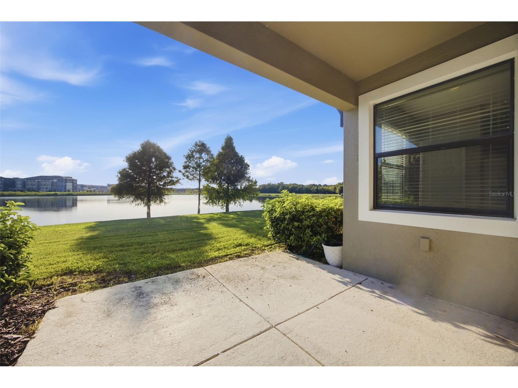 4905 Wandering Way Wesley Chapel FL 33544 TB8532371 image48