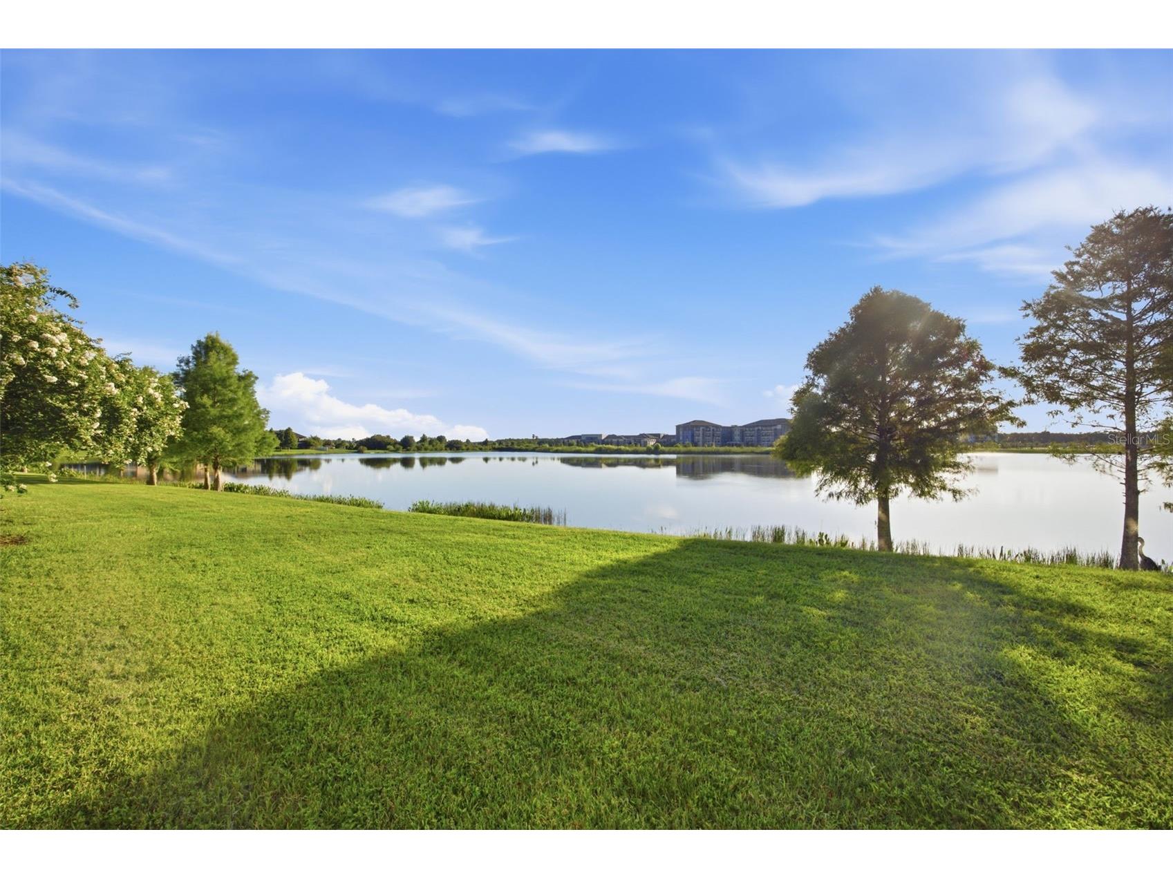 4905 Wandering Way Wesley Chapel FL 33544 TB8532371 image49
