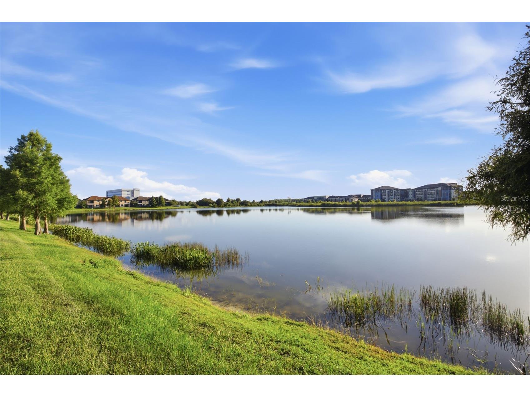 4905 Wandering Way Wesley Chapel FL 33544 TB8532371 image51