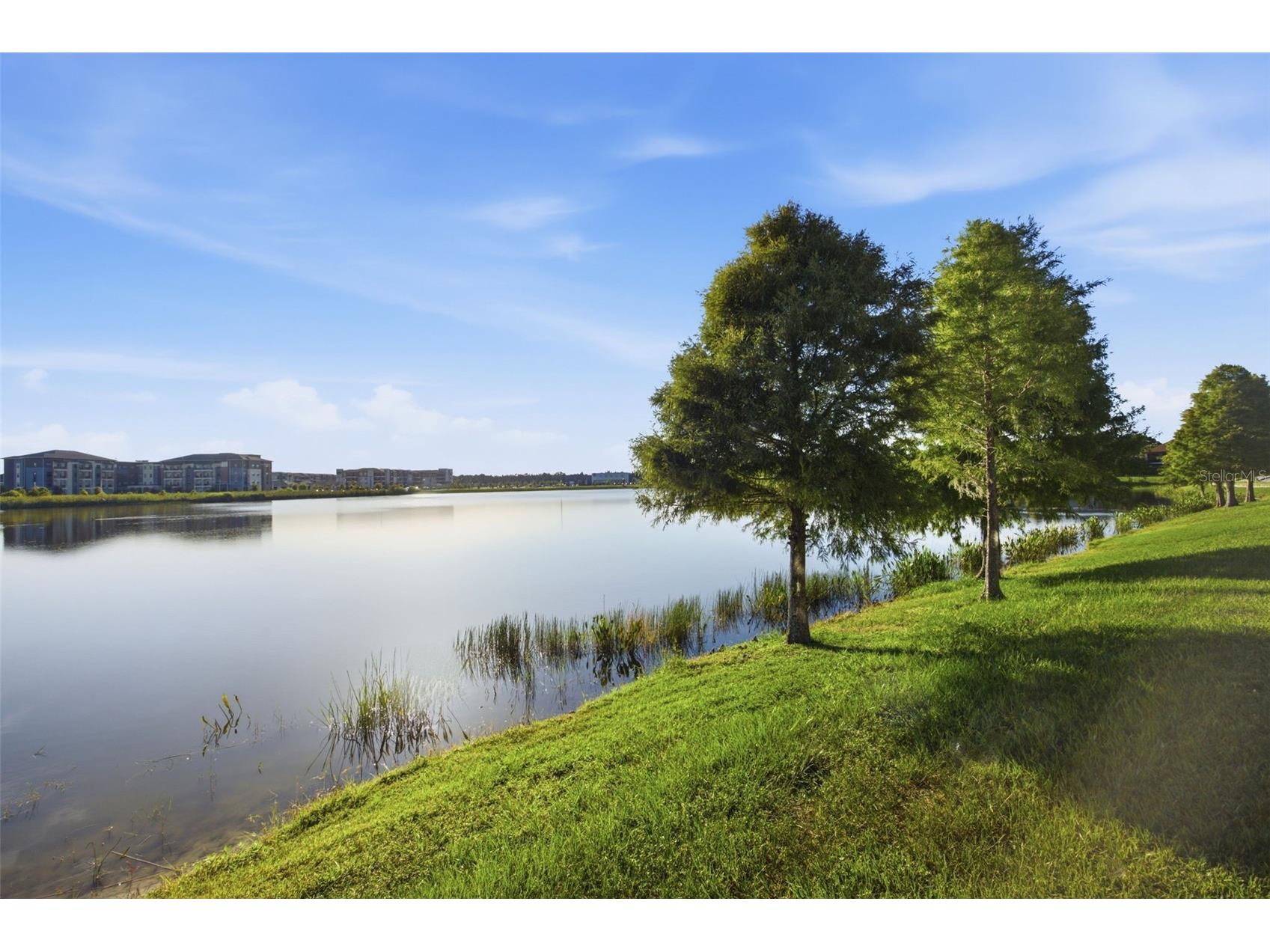 4905 Wandering Way Wesley Chapel FL 33544 TB8532371 image52