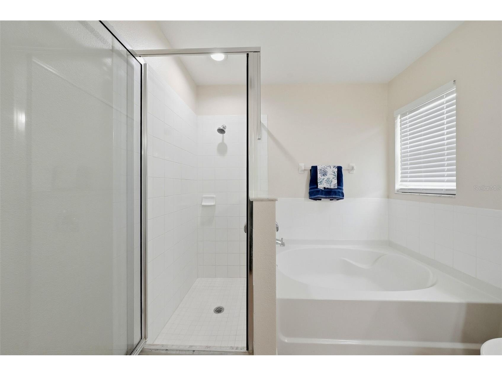 4905 Wessex Way Land O Lakes FL 34639 TB8518565 image34