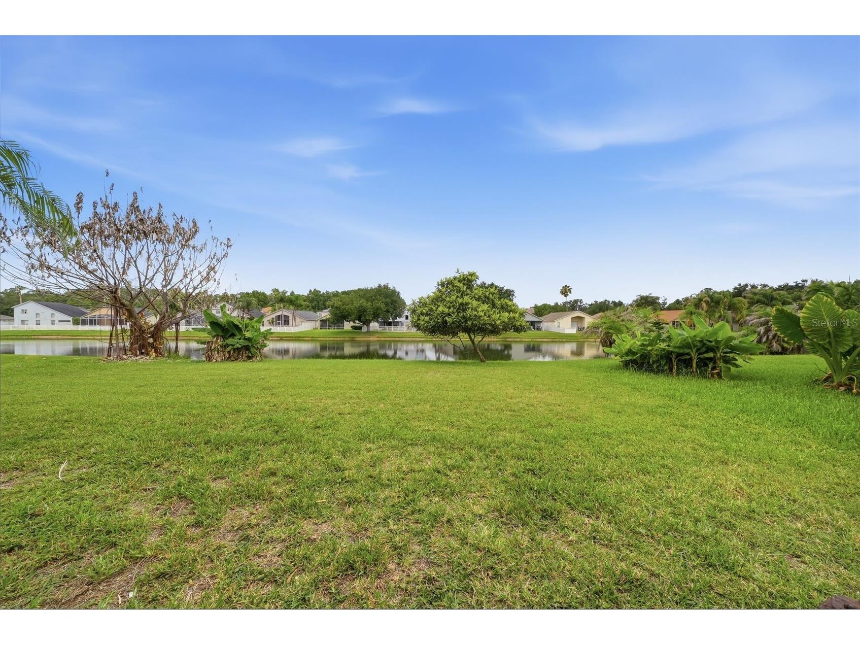 4905 Wessex Way Land O Lakes FL 34639 TB8518565 image42