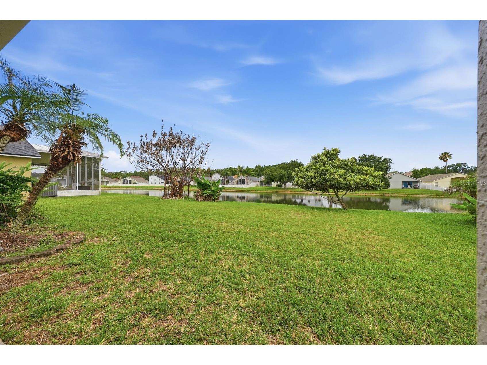 4905 Wessex Way Land O Lakes FL 34639 TB8518565 image43
