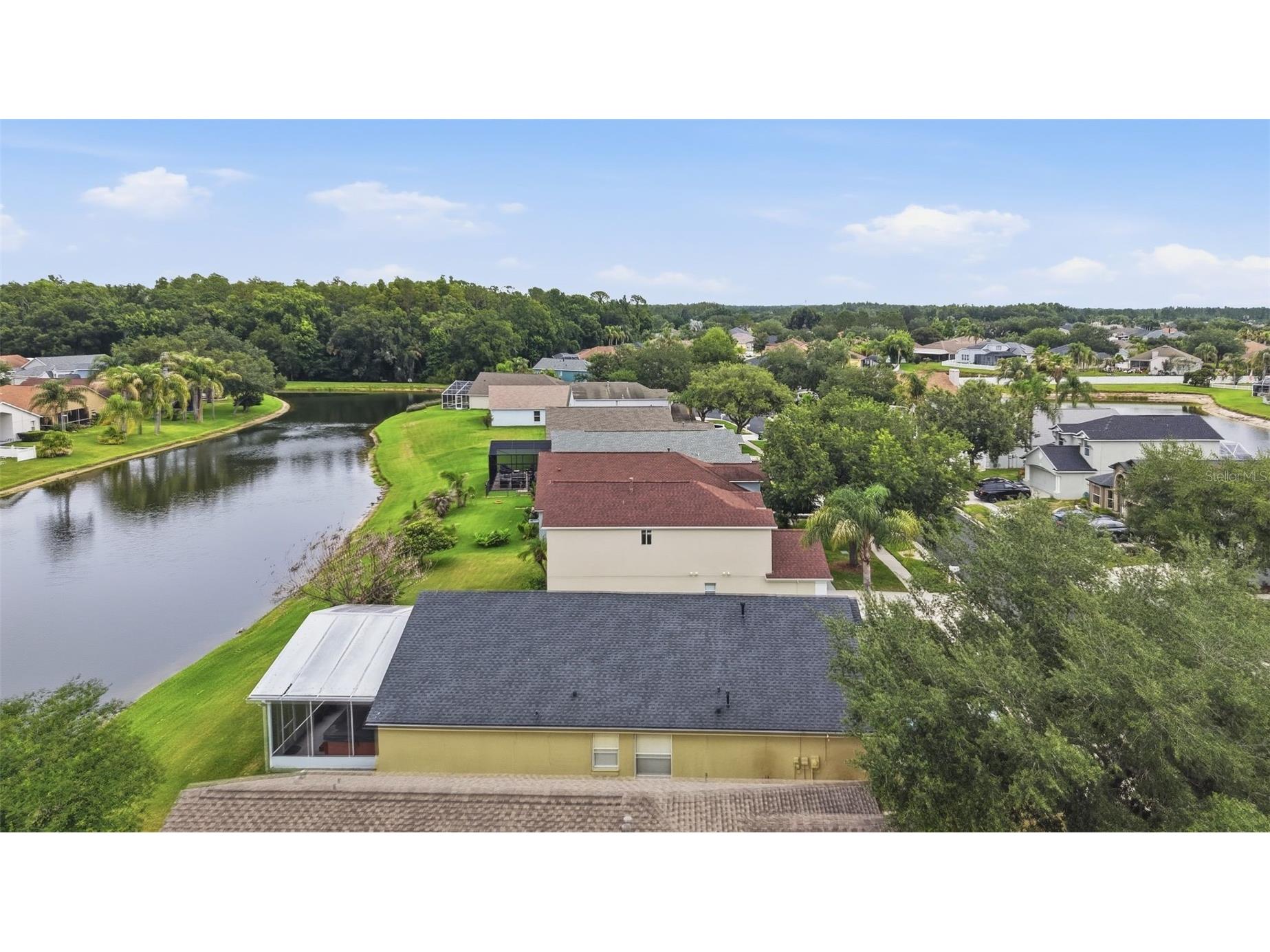 4905 Wessex Way Land O Lakes FL 34639 TB8518565 image44