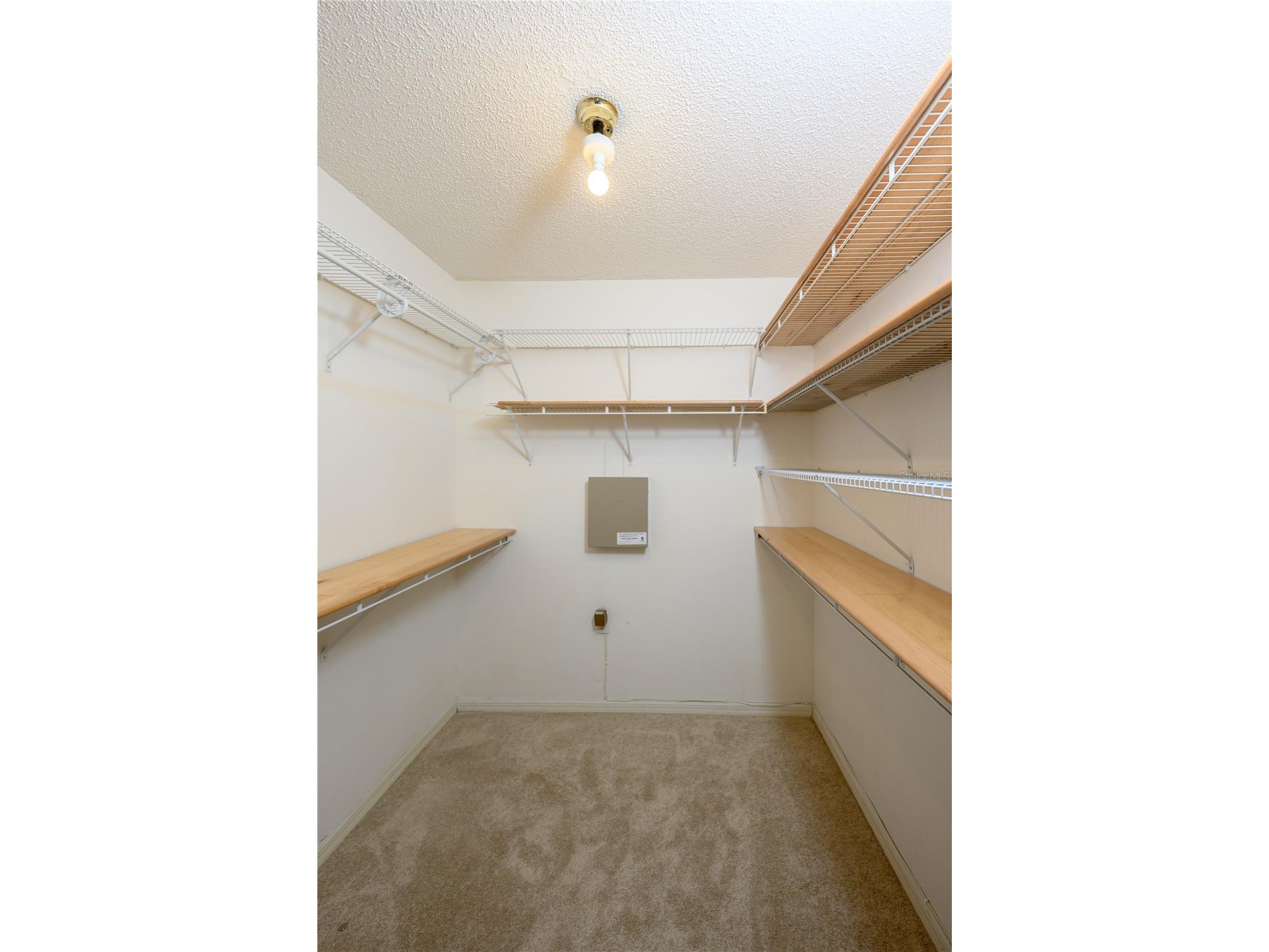 4906 Augusta Avenue Oldsmar FL 34677 TB8510120 image19