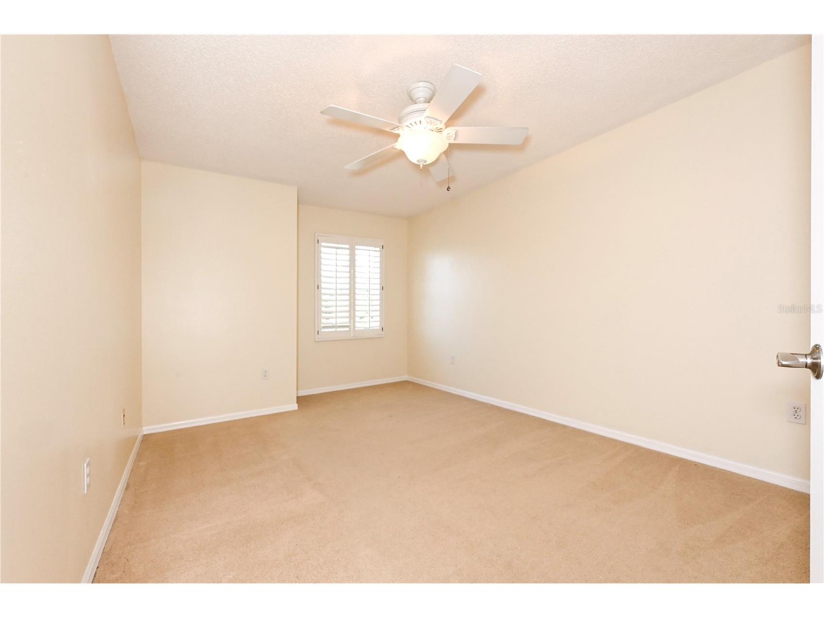 4906 Augusta Avenue Oldsmar FL 34677 TB8510120 image22