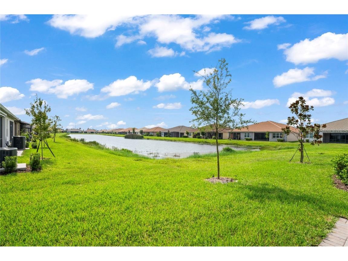 4906 Avila Lakes Drive Wimauma FL 33598 T3549455 image42