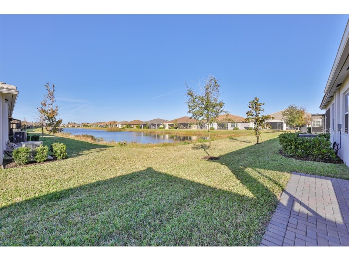 4906 Avila Lakes Drive Wimauma FL 33598 TB8458581 image36