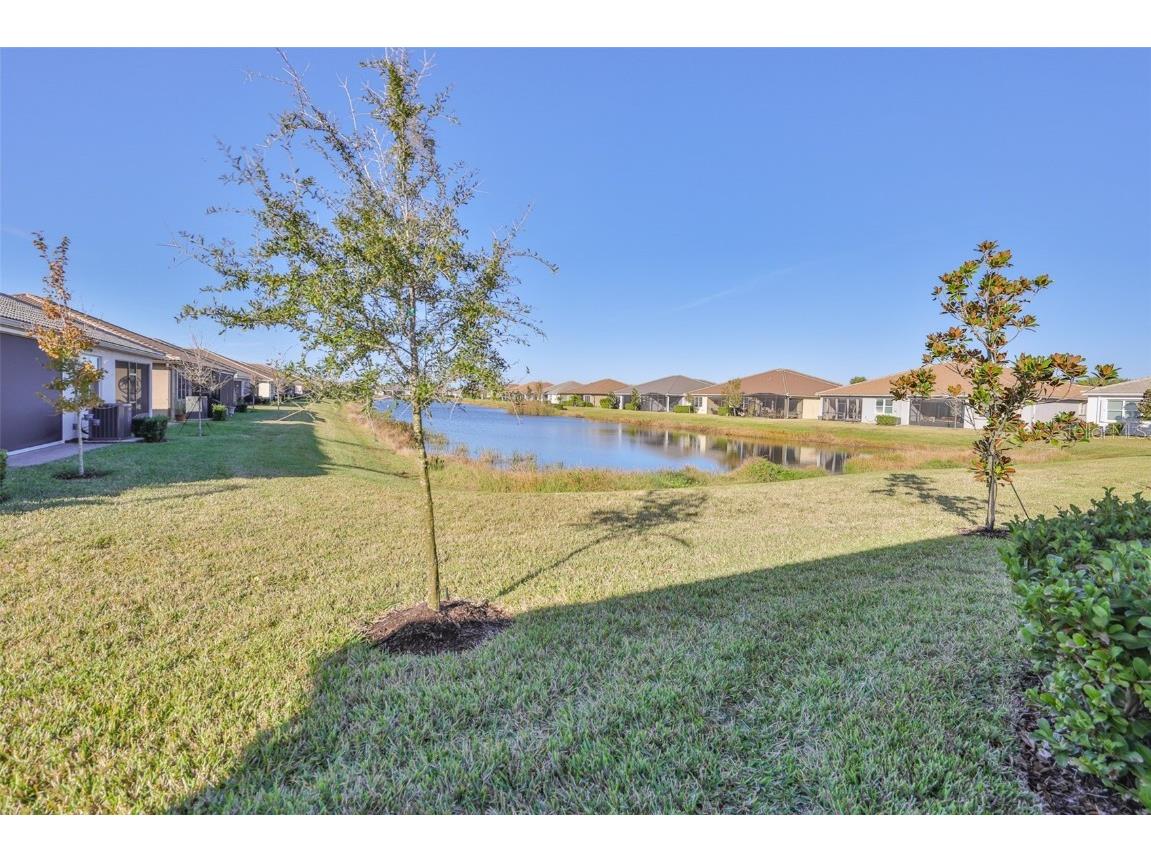 4906 Avila Lakes Drive Wimauma FL 33598 TB8458581 image37
