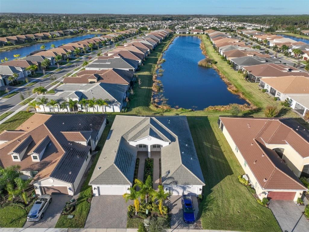 4906 Avila Lakes Drive Wimauma FL 33598 TB8458581 image43