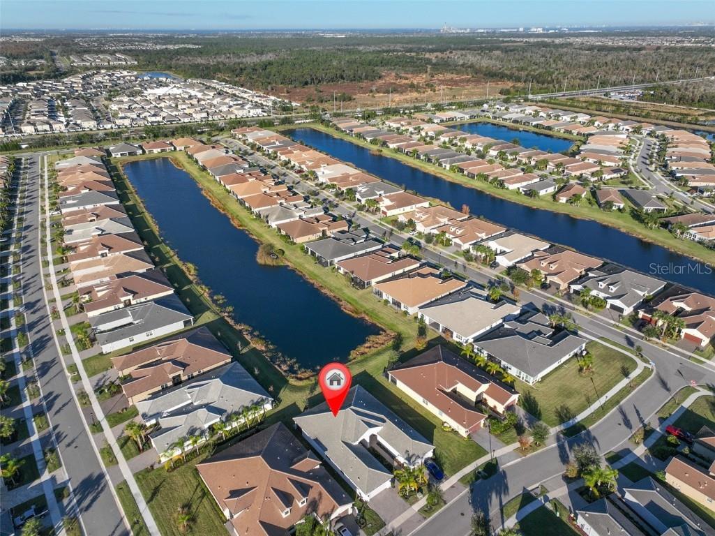 4906 Avila Lakes Drive Wimauma FL 33598 TB8458581 image45