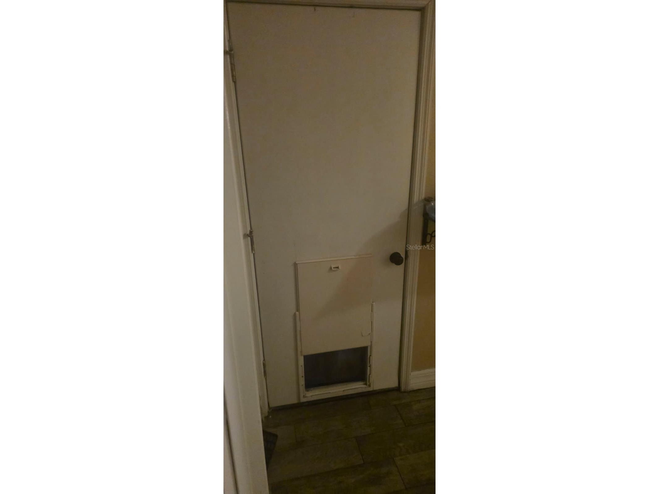 4906 Presidential Street Seffner FL 33584 P4937737 image16